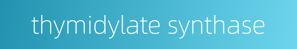 thymidylate synthase的同义词