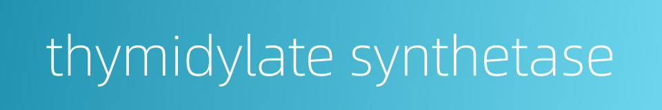thymidylate synthetase的同义词