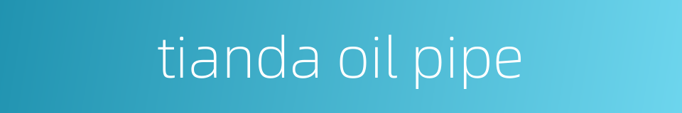 tianda oil pipe的同义词