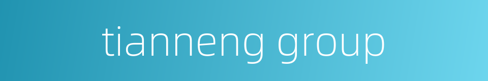 tianneng group的同义词
