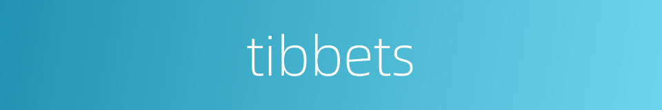 tibbets的同义词