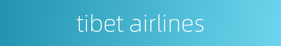 tibet airlines的同义词