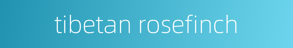 tibetan rosefinch的同义词
