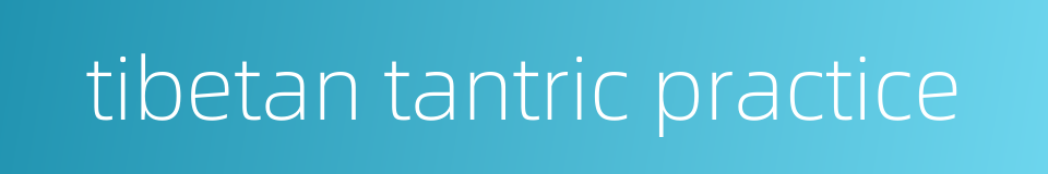 tibetan tantric practice的同义词