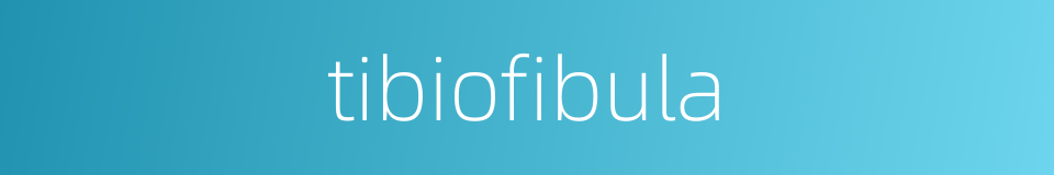 tibiofibula的同义词