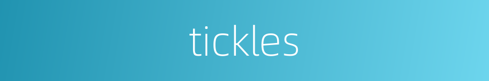 tickles的同义词