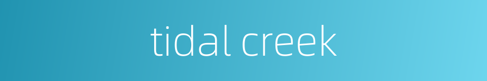 tidal creek的同义词