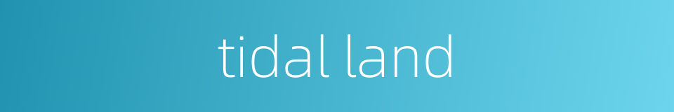tidal land的同义词
