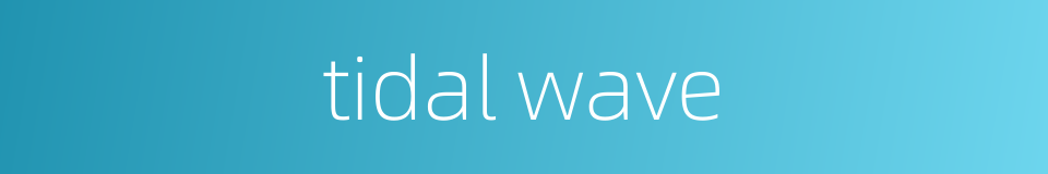 tidal wave的同义词