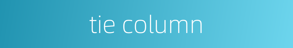 tie column的同义词