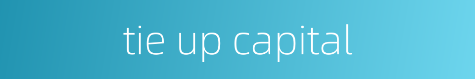 tie up capital的同义词
