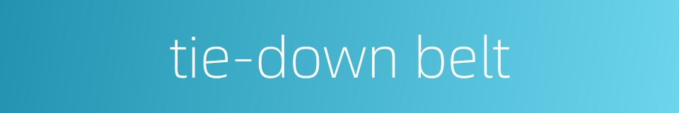 tie-down belt的同义词