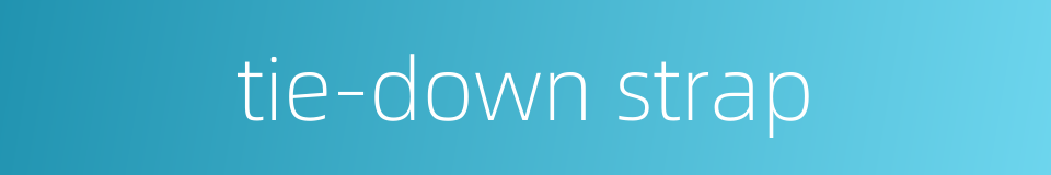 tie-down strap的同义词