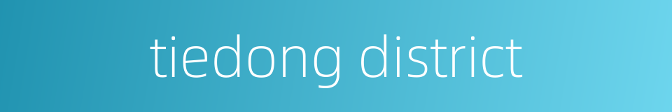 tiedong district的同义词