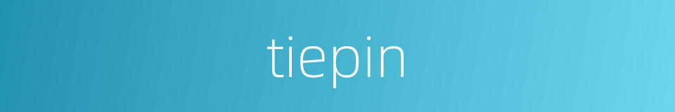 tiepin的同义词