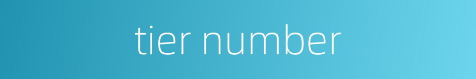 tier number的同义词