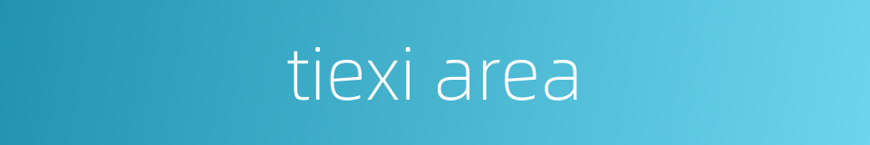 tiexi area的同义词