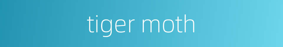 tiger moth的同义词