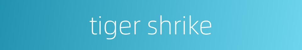 tiger shrike的同义词