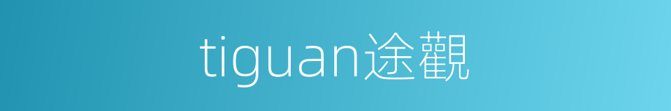 tiguan途觀的同義詞