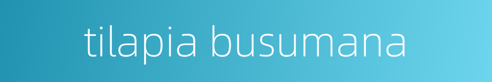 tilapia busumana的同义词