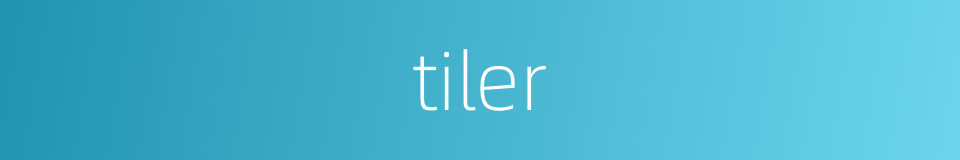 tiler的同义词