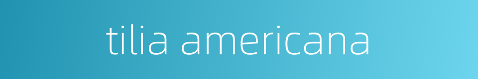 tilia americana的同义词