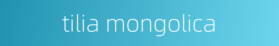 tilia mongolica的同义词