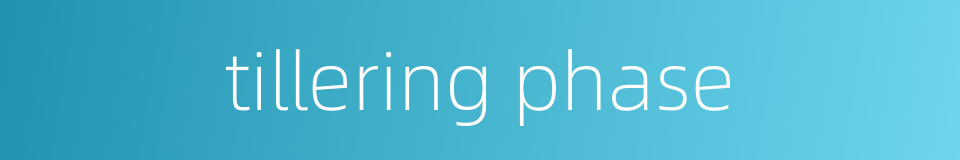 tillering phase的同义词