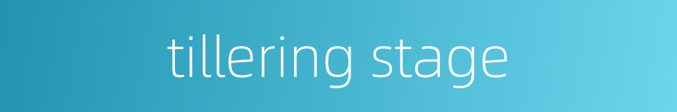 tillering stage的同义词