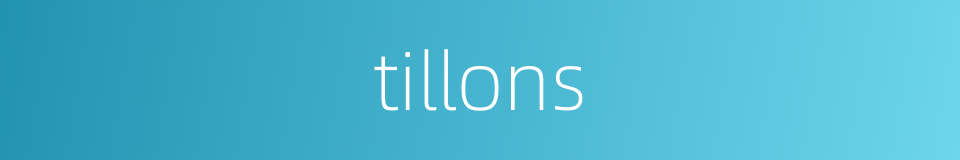 tillons的同义词