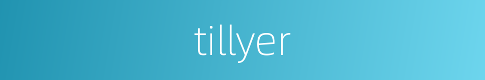 tillyer的同义词