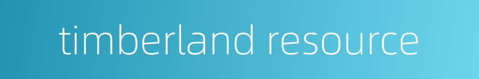 timberland resource的同义词