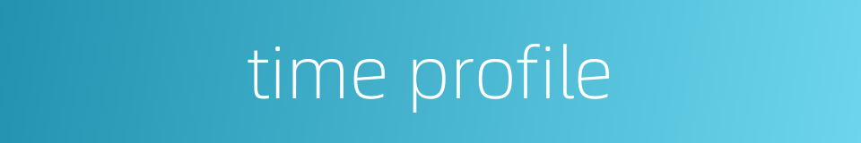 time profile的同义词
