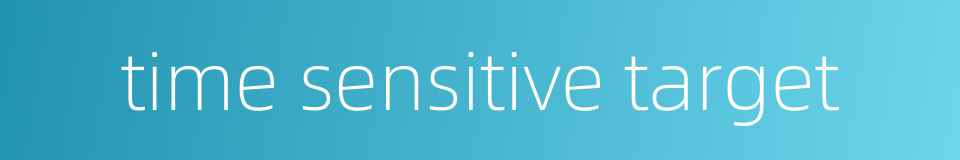 time sensitive target的同义词