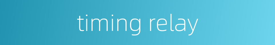 timing relay的同义词