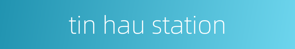 tin hau station的同义词