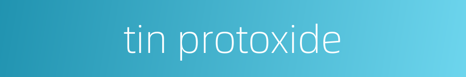 tin protoxide的同义词