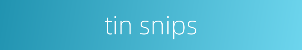 tin snips的同义词