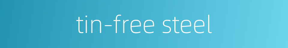 tin-free steel的同义词