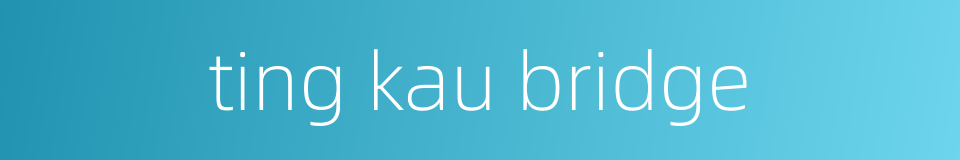 ting kau bridge的同义词