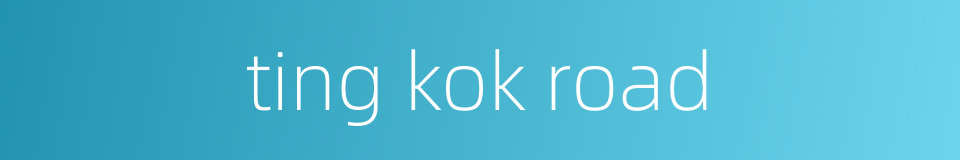 ting kok road的同义词