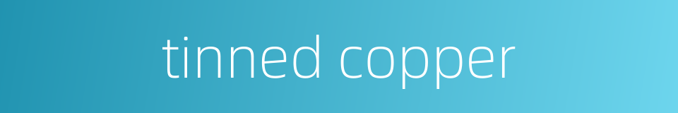 tinned copper的同义词