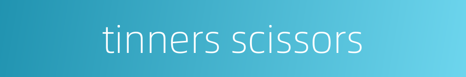 tinners scissors的同义词
