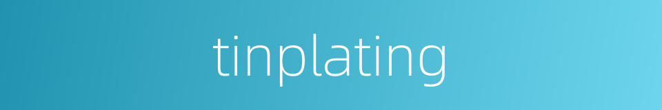 tinplating的同义词