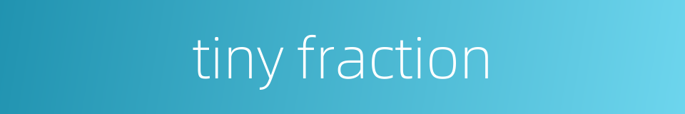 tiny fraction的同义词