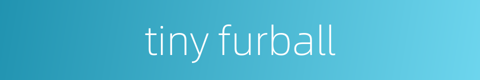 tiny furball的同义词
