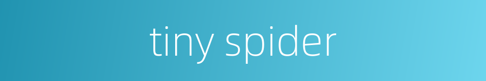 tiny spider的同义词