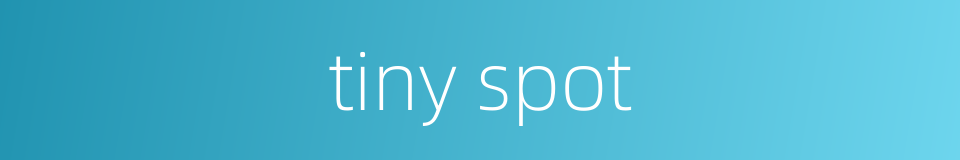 tiny spot的同义词