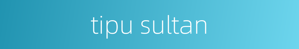 tipu sultan的同义词